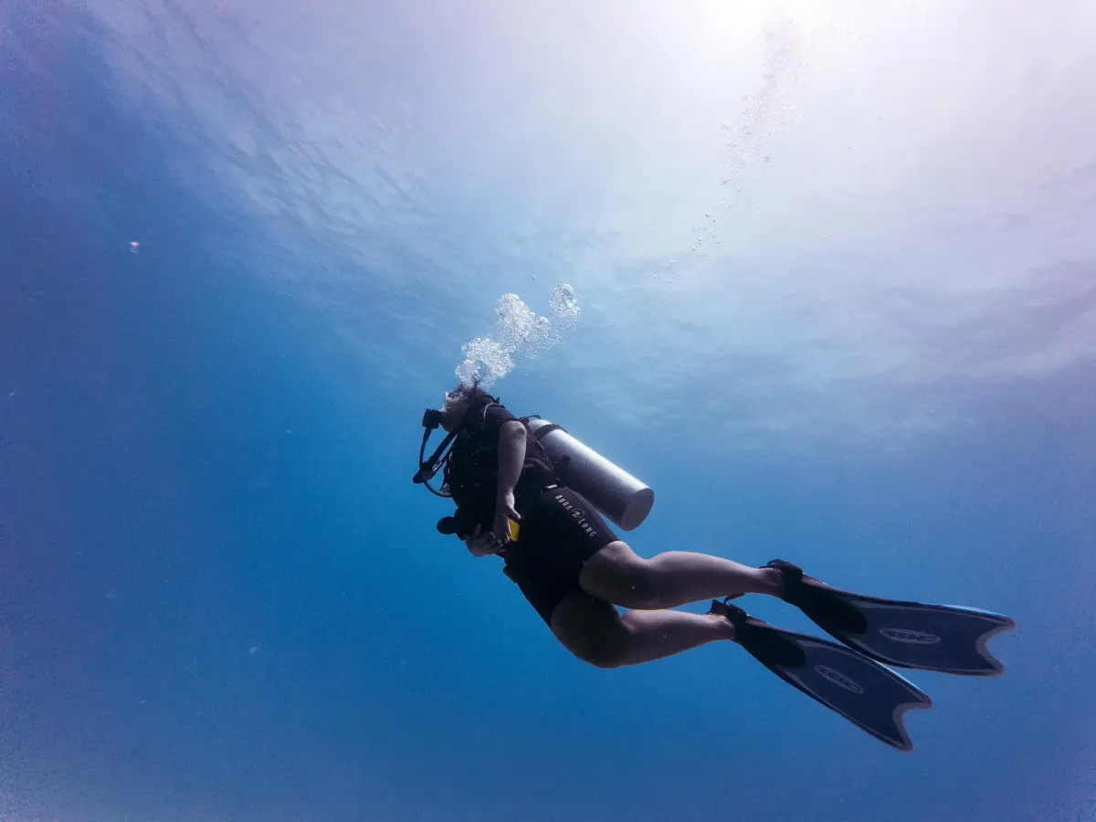 Drop Off Special Dive