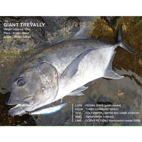 Без имени-500.jpg